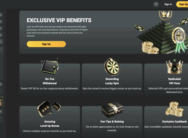 Download the JB Casino App Your Gateway to Thrilling Gaming